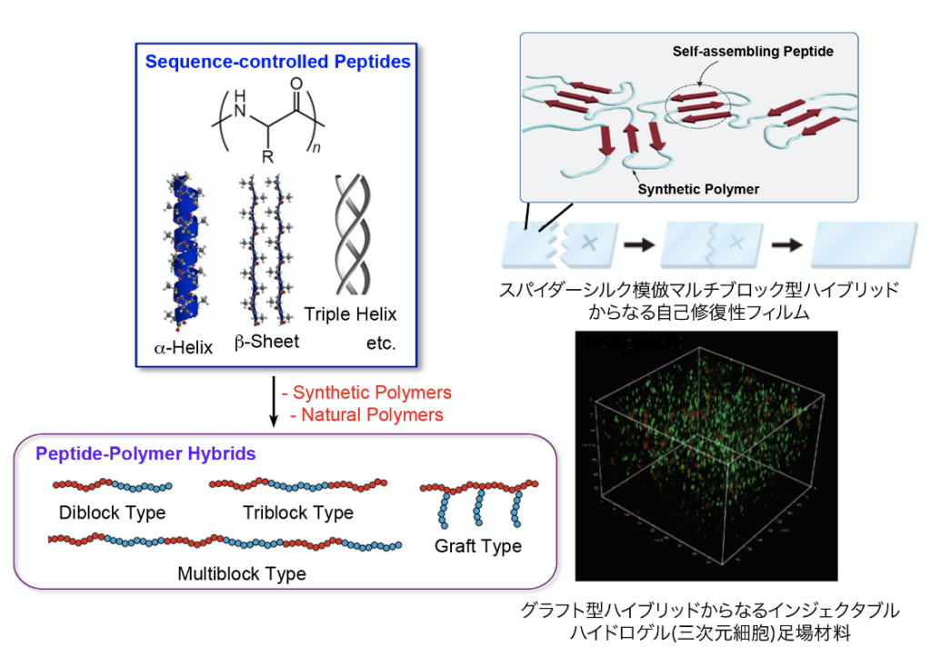 Research  Polymer Chemistry Laboratory, Doshisha University